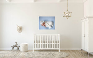 newborn nursery in white with photo of newborn