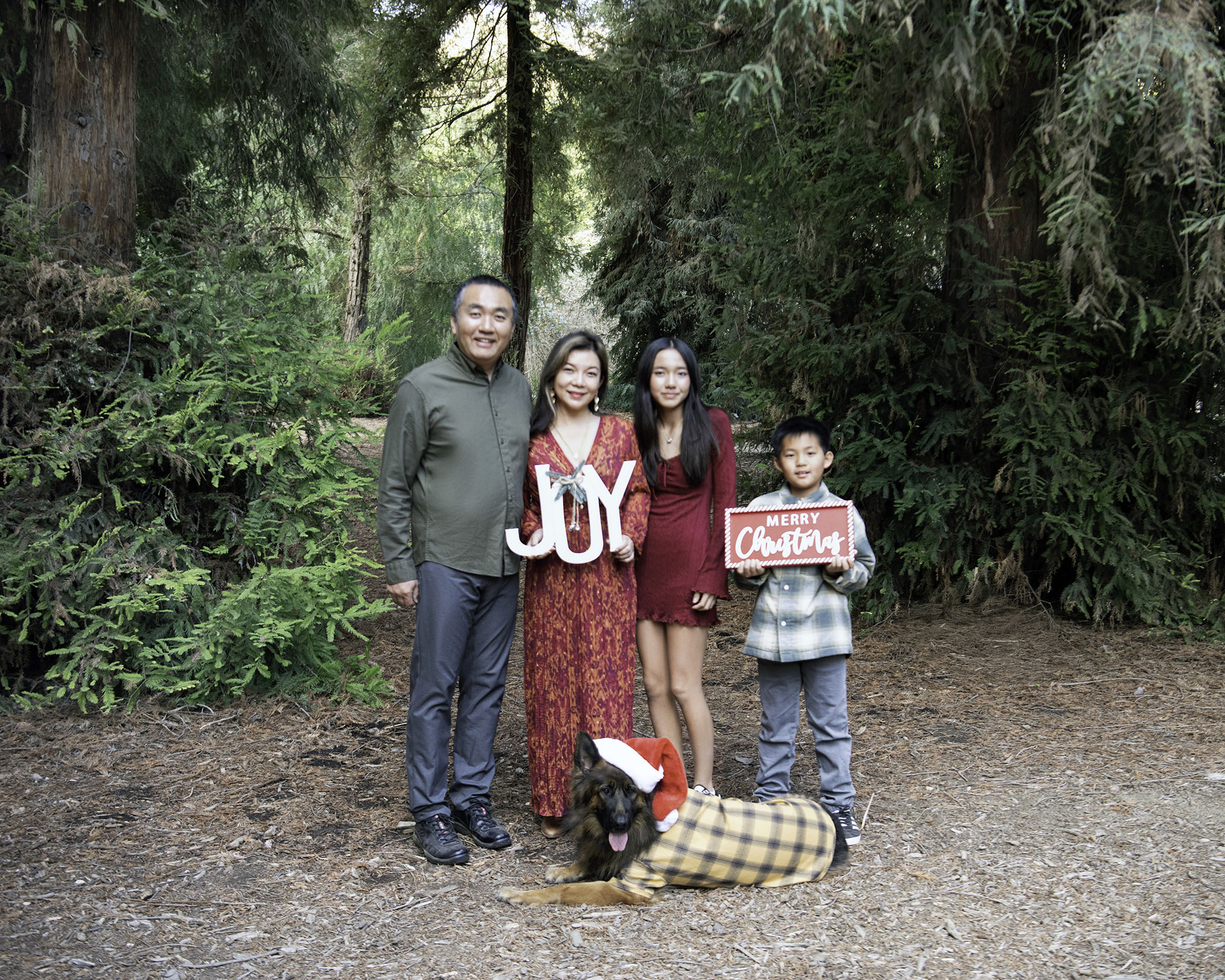 A family of 4 and a dog are standing in a forest. They are wearing red and green clothes.